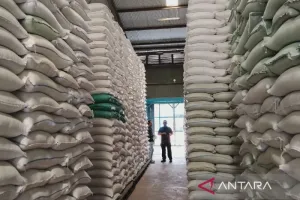 Terima 46.000 Ton Beras dari Stok Nasional, Perum Bulog Sumut Siap Penuhi Kebutuhan Masyarakat