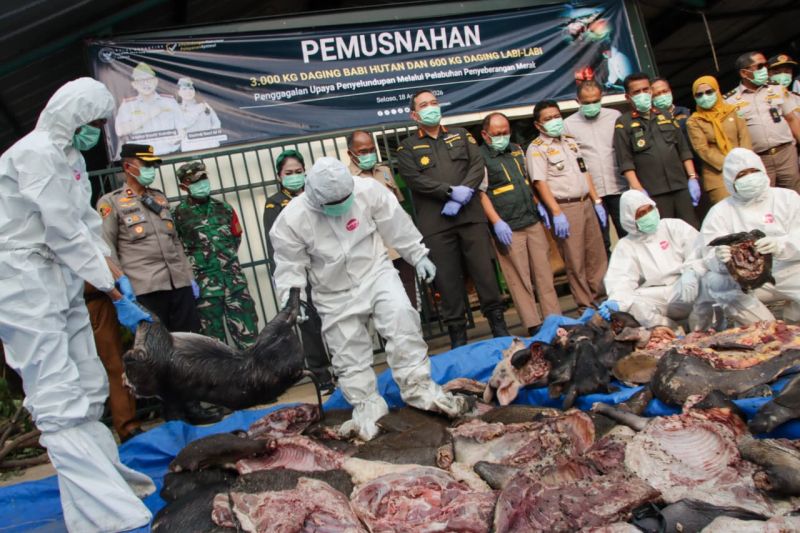 3,6 Ton Daging Tanpa Dokumen Digagalkan di Pelabuhan Mera...