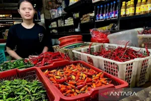 Harga Cabai Rawit Tembus Rp67.350 per Kg, Telur Ayam Rp29.350! Cek Harga Terbarunya