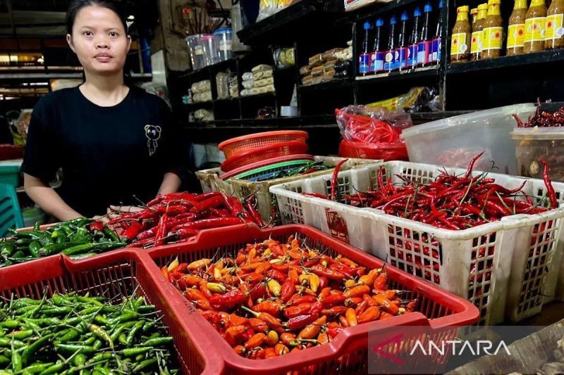 Harga Cabai Rawit Tembus Rp67.350 per Kg, Telur Ayam Rp29.350! Cek Harga Terbarunya
