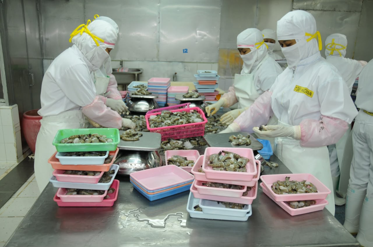 Impor Udang Vaname 120 Ton Lewat Kawasan Berikat, KKP Minta Industri Utamakan Produksi Lokal