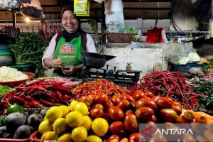 Jelang Maulid Nabi, Pemprov Babel Pastikan Stok Bawang dan Cabai Cukup 