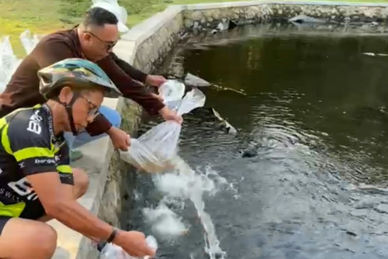 Mataram Siapkan 60.000 Benih Ikan Nila, Dorong Ketahanan Pangan Masyarakat.