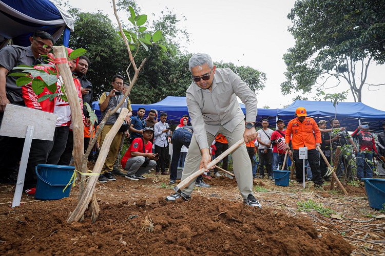 Pemkot Bandung Segera Tanam Kembali Pohon di Jalan RE Mar...