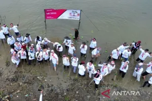 Penanaman 1.500 Bibit Bakau untuk Menekan Abrasi Pesisir Utara