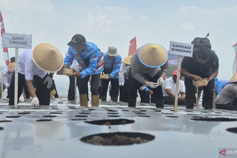 Polres Sumedang Tancap Gas, Produksi Bawang Putih Ditarge...