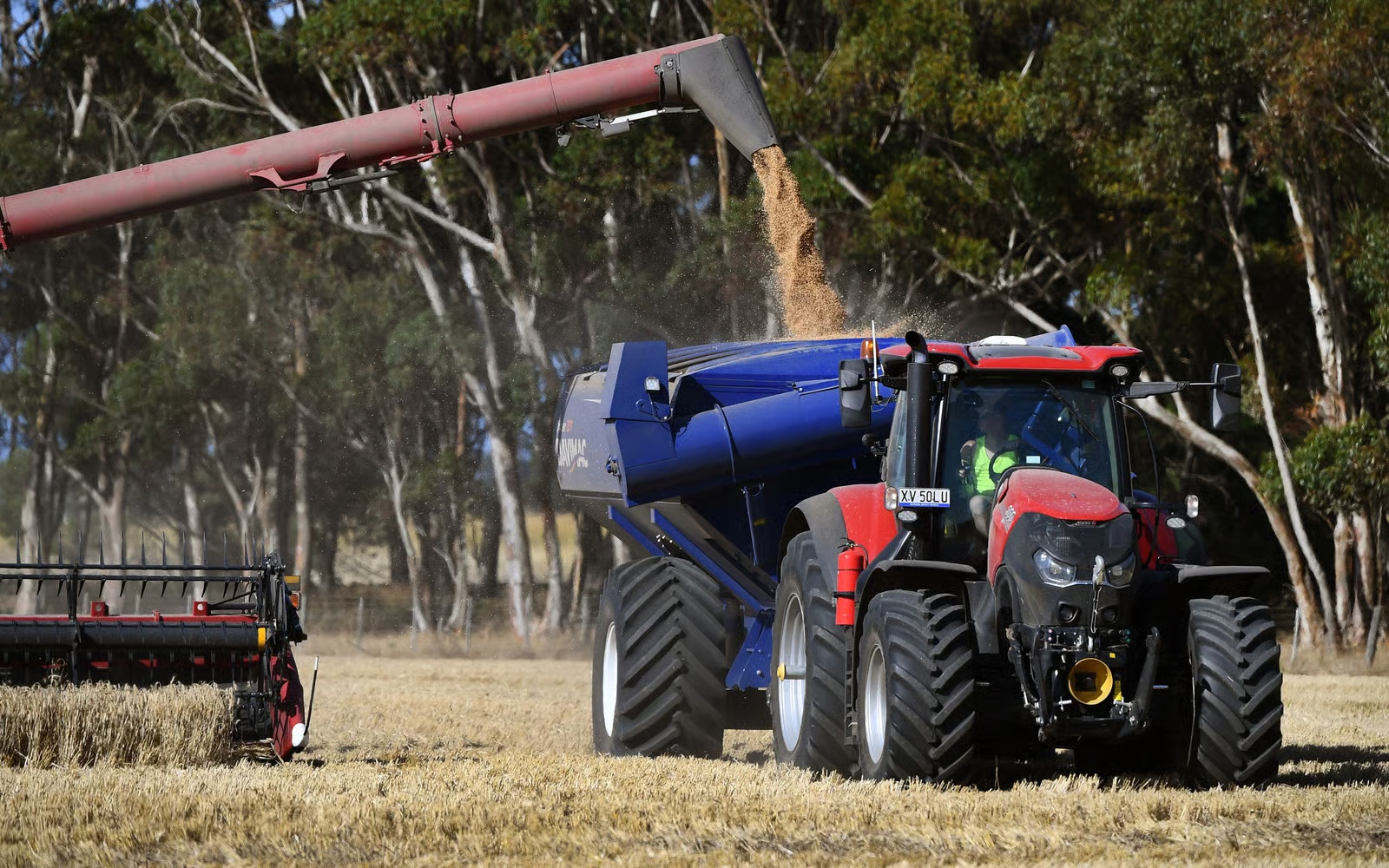 Terobosan Energi, Ilmuwan Australia Sulap Urea Jadi Bahan...
