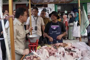 Agar Peternak Terus Berproduksi, Mendag Tekankan Pentingnya Harga Ayam Sesuai Acuan
