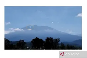 Badan Geologi Nyatakan Asap di Gunung Raung Disebabkan Kebakaran Lahan Bukan Erupsi 