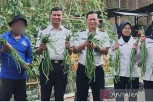 Bukan Sekadar Dibina, WBP Lapas Narkotika Samarinda Didorong Jadi Petani Mandiri