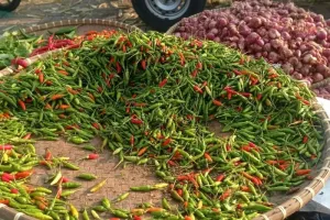Disperindag Kabupaten Lebak: Pasokan Melimpah, Harga Komoditas Cabai dan Bawang Turun 