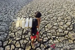 El Nino Mengganas, Honduras Tetapkan Status Darurat Kekeringan