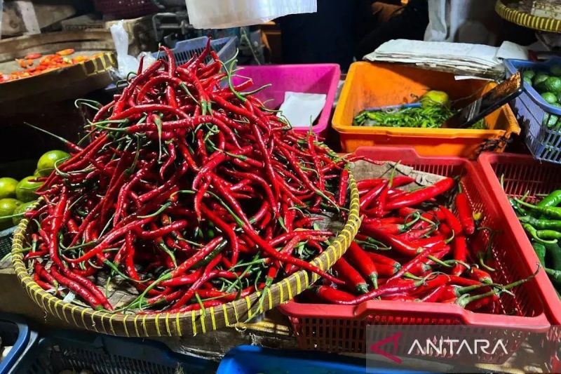 Harga Cabai Rawit Tembus Rp52.750/Kg, Telur Ayam Rp22.650...