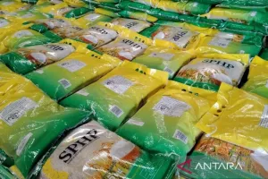 Jaga Stabilitas Harga, Perum Bulog Sumut Perkuat Penyaluran Beras SPHP ke Pasar 