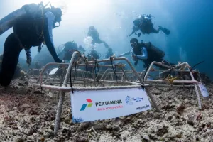 PT Pertamina Perkuat Komitmen Jaga Ekosistem Laut di Perairan Sulawesi