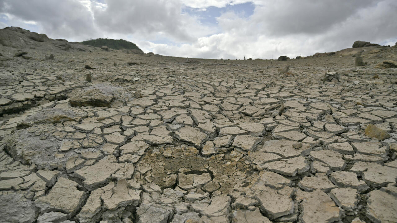 Sapaan Maut El Nino di Honduras: 80 Persen Wilayah Diland...