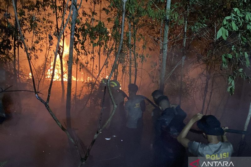 Api dan Asap Karhutla Mengancam Kaltara, Puluhan Personel...