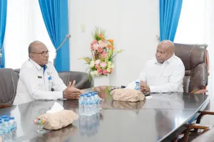 BKKBN Papua Dorong Penanganan Stunting Berbasis Data By Name By Address
