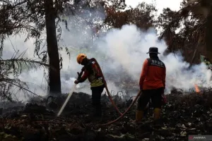 BMKG Peringatkan Asap Karhutla Ketapang Berpotensi Terbawa hingga Pontianak.