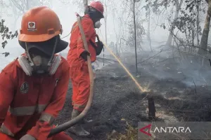 BNPB Catat Sejumlah Karhutla pada 20-21 Agustus 2026, Siagakan Tim Pemadam