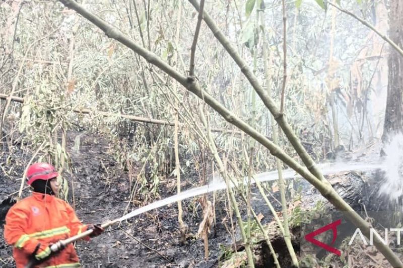 BPBD Pastikan Api Padam Total, Karhutla di OKU Selatan Be...