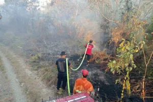 Cegah Dampak Karhutla Makin Parah, Anggota DPR RI Serukan Penguatan Mitigasi Kebakaran