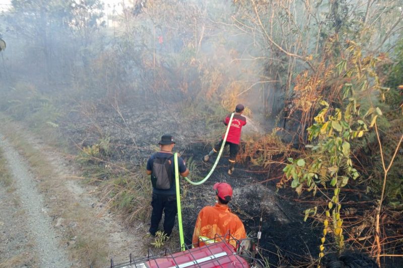 Cegah Dampak Karhutla Makin Parah, Anggota DPR RI Serukan...