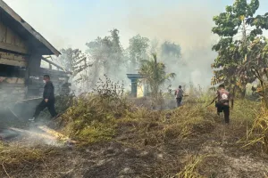 Karhutla di Nabire, Polda Papua Tengah Kerahkan Brimob Cegah Api Meluas.
