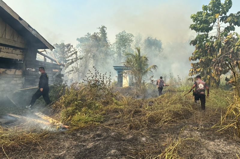 Karhutla di Nabire, Polda Papua Tengah Kerahkan Brimob Ce...
