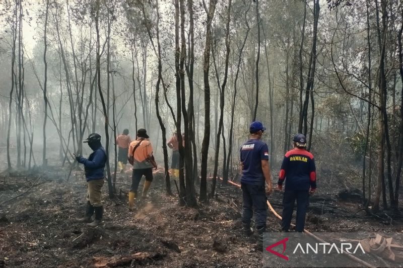 Karhutla Muara Enim Dipadamkan dari Udara, Helikopter Water Bombing Dikerahkan.