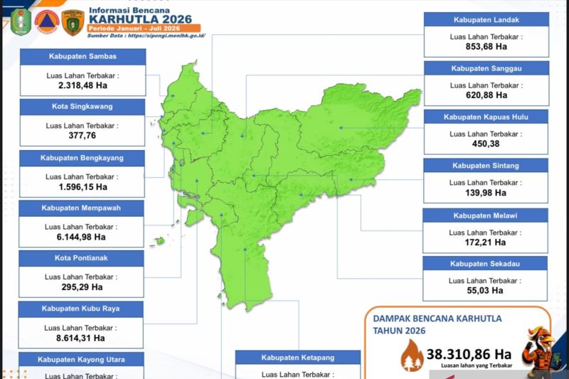 Kebakaran Hutan di Kalimantan Barat dalam Catatan BPBD pada Januari–Agustus Mencapai 38.310 Hektare