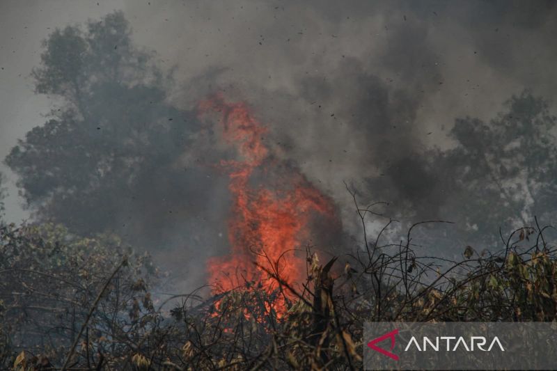 Kepolisian Resor Kotawaringin Barat Akan Menindak Tegas Pelaku Pembakaran Hutan dan Lahan