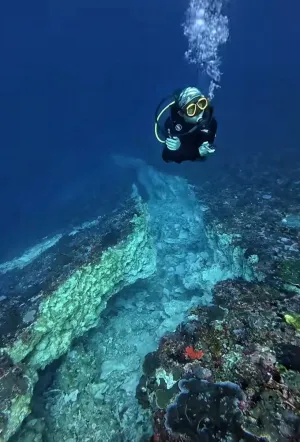 Penyelam Temukan Retakan Raksasa di Dasar Laut Flores Usai Gempa M7,7 - Terumbu Karang Rusak