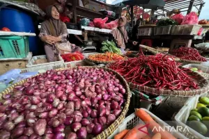 PIHPS Ungkap Harga Terbaru Cabai Rawit dan Telur Ayam, Segini Harganya