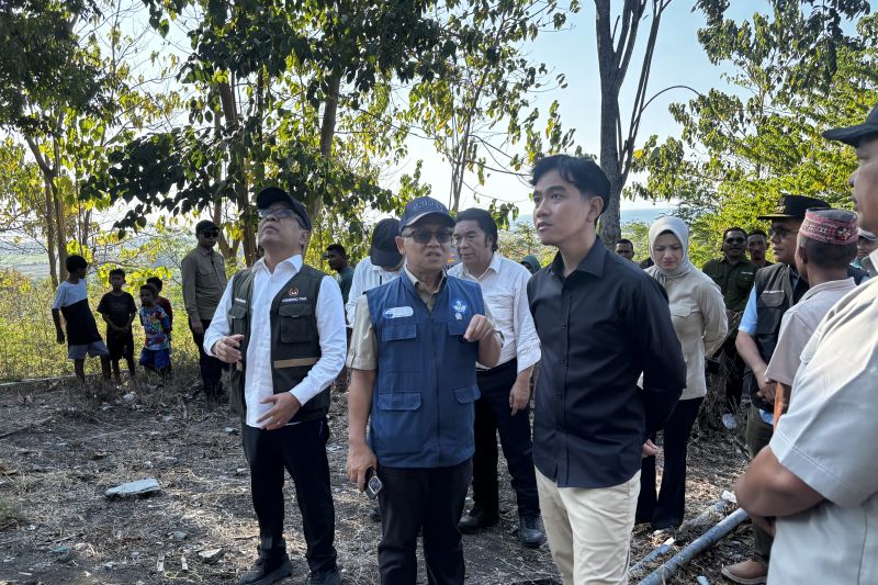 Ringankan Beban Korban Gempa NTT, Wapres Gibran Upayakan ...