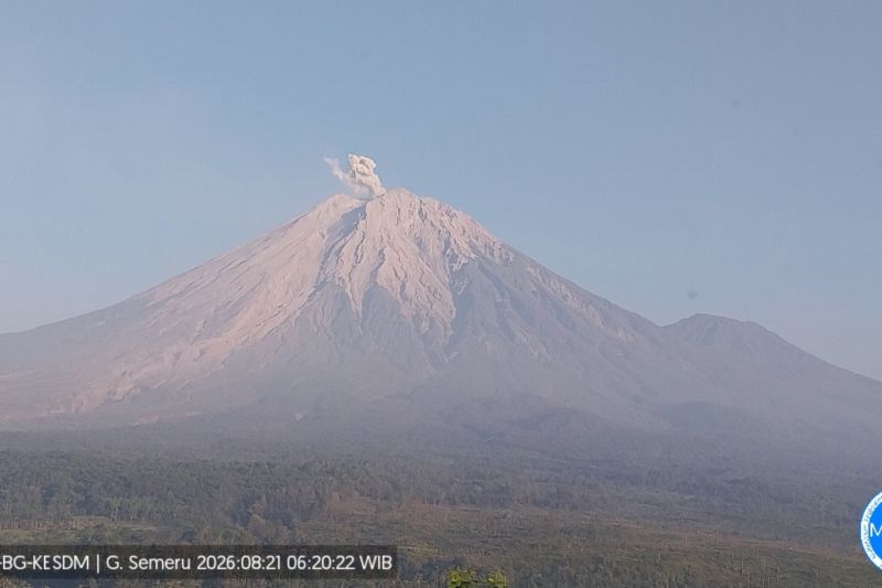 Semeru Kembali Erupsi, Letusan Membubung 800 Meter dari A...