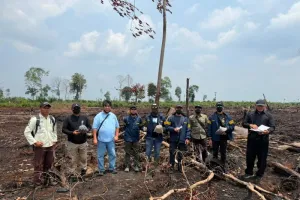 Usut Karhutla di Bengkalis, Polda Riau Kerahkan 5 Ahli dari Berbagai Bidang.