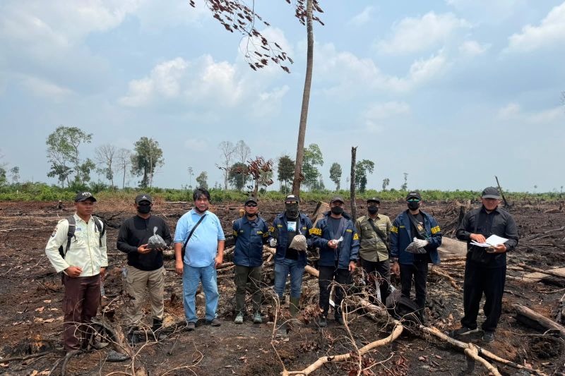 Usut Karhutla di Bengkalis, Polda Riau Kerahkan 5 Ahli da...