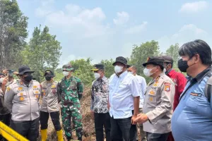85 Ribu Hektare Kawasan Konsesi Perusahaan Terbakar akibat Karhutla.