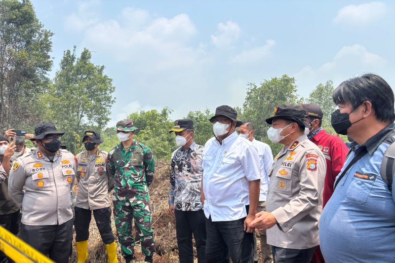 85 Ribu Hektare Kawasan Konsesi Perusahaan Terbakar akiba...