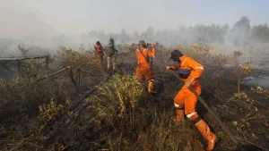 BPBD Kalsel Sebut Delapan Kabupaten/Kota Siaga Darurat Karhutla hingga Oktober