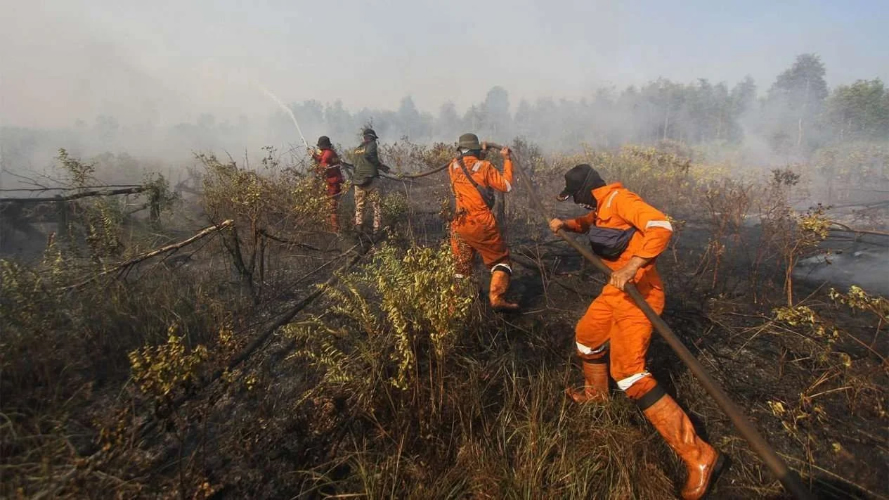 BPBD Kalsel Sebut Delapan Kabupaten/Kota Siaga Darurat Ka...