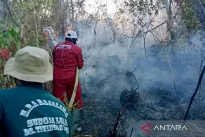 Cegah Karhutla Makin Meluas, Tahura Dishut Kalsel Bentuk 18 Masyarakat Peduli Api