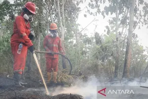 Kabakaran Hutan Tak Kunjung Padam, Pemerintah Tetapkan Operasi Darat Ujung Tombak Penanganan Karhutla 