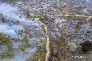 Kapolri Ungkap Kabar Terbaru Karhutla: Pelaku Pembakaran Hutan Berhasil Ditangkap