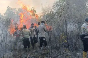 Karhutla Masih Berkobar di Way Kambas, Api Merembet ke Kawasan Konservasi.