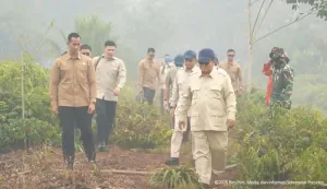 Presiden Prabowo Turun ke L...