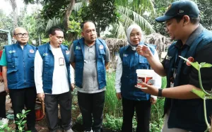 Tanggulangi DBD, Program Wolbachia Mulai Diterapkan di Cengkareng