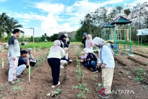 Universitas Lambung Mangkur...