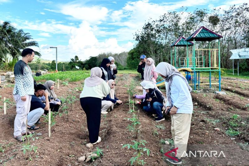 Universitas Lambung Mangkurat Bantu Desa Tirta Jaya Kemba...